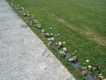 memorial AF4590 - 25-07-2006